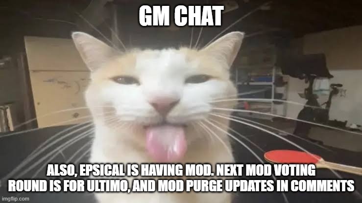 #3 | GM CHAT; ALSO, EPSICAL IS HAVING MOD. NEXT MOD VOTING ROUND IS FOR ULTIMO, AND MOD PURGE UPDATES IN COMMENTS | image tagged in milly the silly cat bleh cat,sans of topic | made w/ Imgflip meme maker