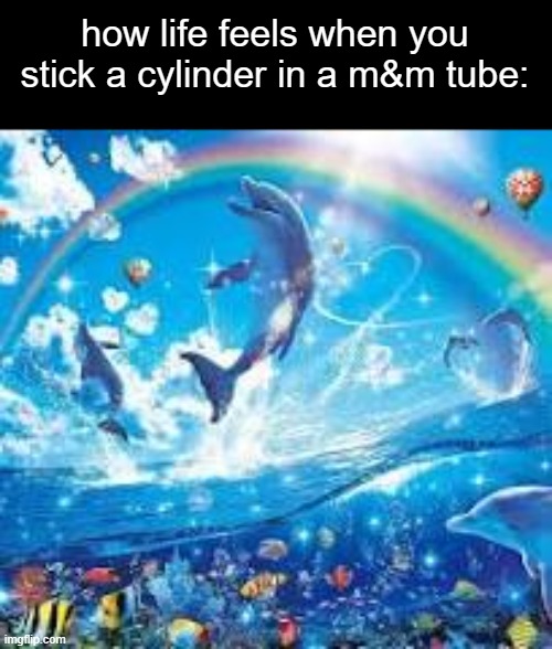 How life feels when: | how life feels when you stick a cylinder in a m&m tube: | image tagged in how life feels when | made w/ Imgflip meme maker