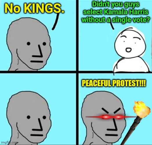 NPC Meme | Didn't you guys select Kamala Harris without a single vote? No KINGS. PEACEFUL PROTEST!!! | image tagged in npc meme | made w/ Imgflip meme maker