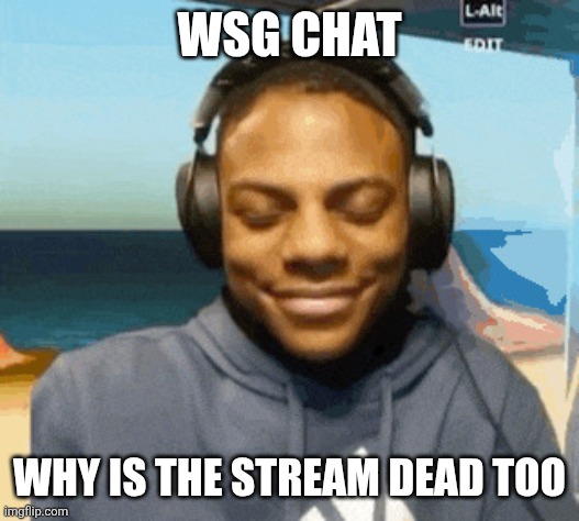 I scrolled like 5 pages and got images from 2 days ago | WSG CHAT; WHY IS THE STREAM DEAD TOO | image tagged in speed laughing | made w/ Imgflip meme maker