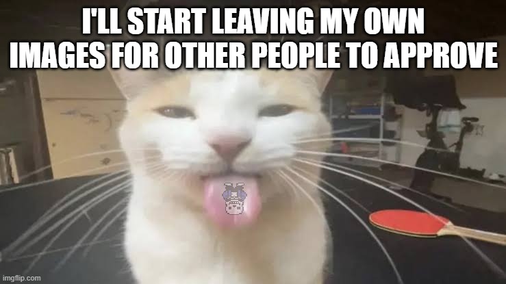 Milly the silly cat Bleh Cat | I'LL START LEAVING MY OWN IMAGES FOR OTHER PEOPLE TO APPROVE | image tagged in milly the silly cat bleh cat,sans of topic | made w/ Imgflip meme maker