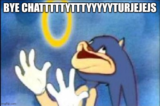 Sonic derp | BYE CHATTTTTYTTTYYYYYTURJEJEJS | image tagged in sonic derp | made w/ Imgflip meme maker