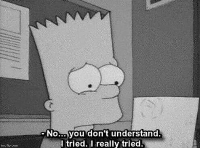 bart i really tried | image tagged in bart i really tried | made w/ Imgflip meme maker