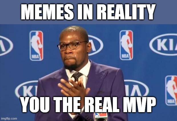 You The Real MVP Meme | MEMES IN REALITY YOU THE REAL MVP | image tagged in memes,you the real mvp | made w/ Imgflip meme maker