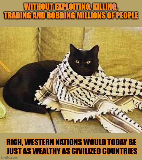 This #lolcat wonders how rich the west would be without colonialism | WITHOUT EXPLOITING, KILLING, TRADING AND ROBBING MILLIONS OF PEOPLE; RICH, WESTERN NATIONS WOULD TODAY BE 
JUST AS WEALTHY AS CIVILIZED COUNTRIES | image tagged in colonialism,exploitation,murder,wealth,western,lolcat | made w/ Imgflip meme maker