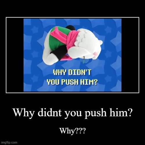 Why didnt you push him? | Why??? | image tagged in funny,demotivationals | made w/ Imgflip demotivational maker