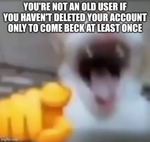 Cat pointing and laughing | YOU'RE NOT AN OLD USER IF YOU HAVEN'T DELETED YOUR ACCOUNT ONLY TO COME BECK AT LEAST ONCE | image tagged in cat pointing and laughing | made w/ Imgflip meme maker