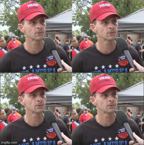 trump supporter four panel Blank Meme Template