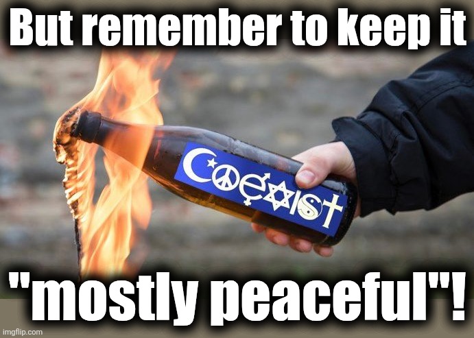 But remember to keep it "mostly peaceful"! | made w/ Imgflip meme maker