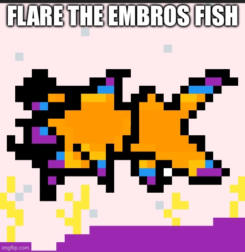 Flare approved | FLARE THE EMBROS FISH | made w/ Imgflip meme maker