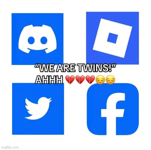 Twins ain't no way | image tagged in discord,roblox,twitter,facebook | made w/ Imgflip meme maker