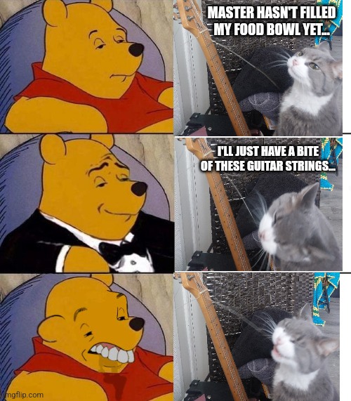 Adventures of Harold | MASTER HASN'T FILLED MY FOOD BOWL YET... I'LL JUST HAVE A BITE OF THESE GUITAR STRINGS... | image tagged in best better blurst | made w/ Imgflip meme maker