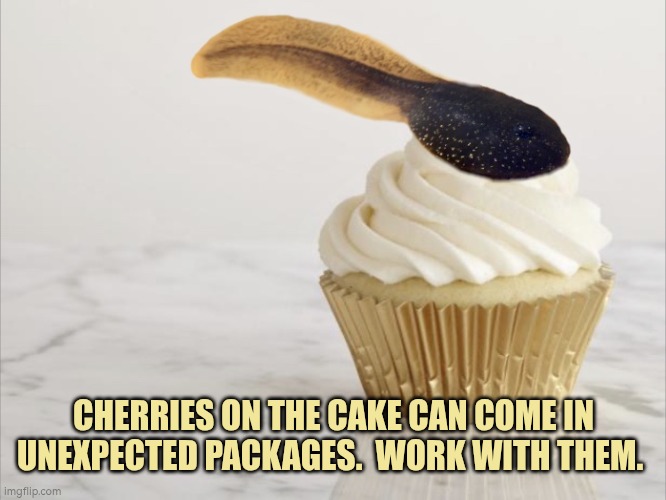 Cherries on the cake can come in unexpected forms. Work with them. | CHERRIES ON THE CAKE CAN COME IN UNEXPECTED PACKAGES.  WORK WITH THEM. | image tagged in tadpole,surprise | made w/ Imgflip meme maker