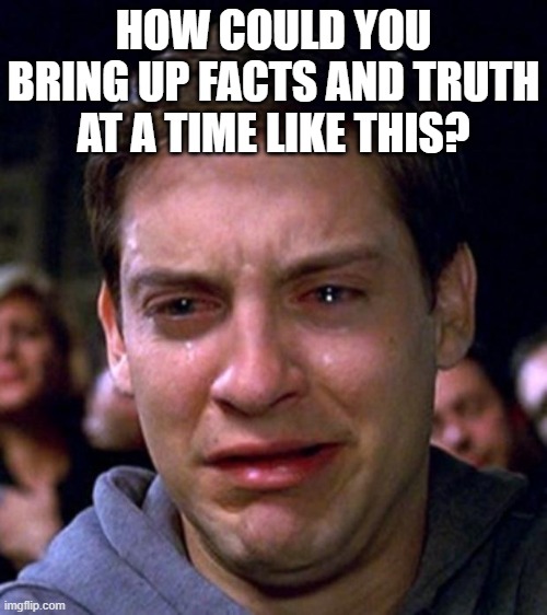crying peter parker | HOW COULD YOU BRING UP FACTS AND TRUTH AT A TIME LIKE THIS? | image tagged in crying peter parker | made w/ Imgflip meme maker