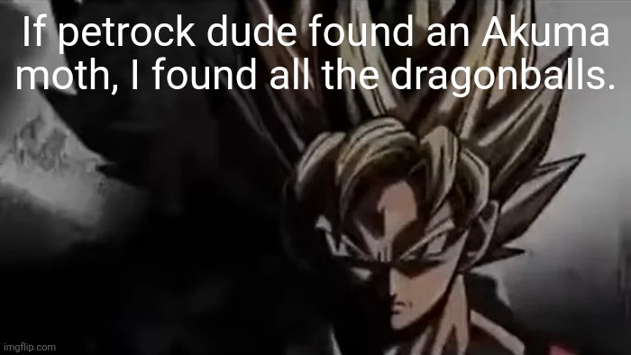 Goku Staring | If petrock dude found an Akuma moth, I found all the dragonballs. | image tagged in goku staring | made w/ Imgflip meme maker