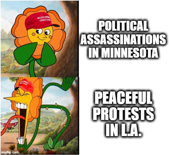LA vs MN | POLITICAL ASSASSINATIONS IN MINNESOTA; PEACEFUL PROTESTS IN L.A. | image tagged in happy then angry flowers maga hats | made w/ Imgflip meme maker