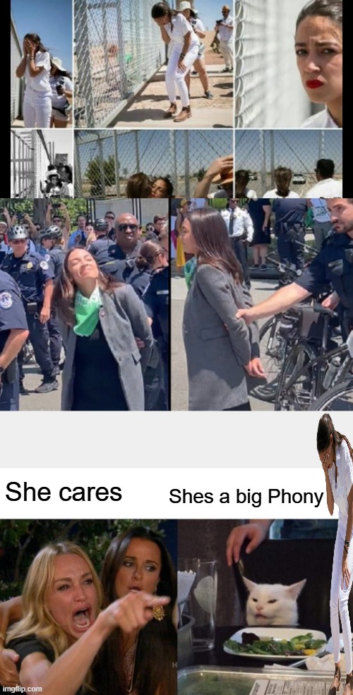 Being a good actor is the # 1 qualification for being a DEM politician or activiist. | She cares; Shes a big Phony | image tagged in memes,woman yelling at cat | made w/ Imgflip meme maker