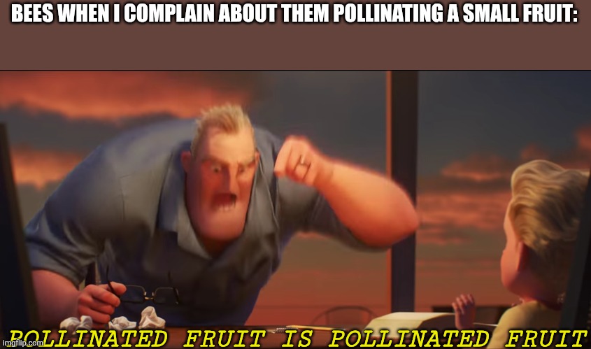 Happens all the time | BEES WHEN I COMPLAIN ABOUT THEM POLLINATING A SMALL FRUIT:; POLLINATED FRUIT IS POLLINATED FRUIT | image tagged in math is math,grow a garden,memes,funny | made w/ Imgflip meme maker