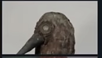 High Quality Crow Blank Meme Template