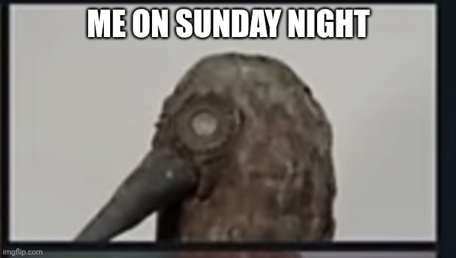 Crow | ME ON SUNDAY NIGHT | image tagged in crow | made w/ Imgflip meme maker