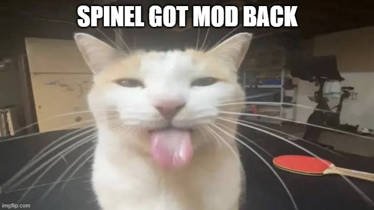 Milly the silly cat Bleh Cat | SPINEL GOT MOD BACK | image tagged in milly the silly cat bleh cat | made w/ Imgflip meme maker