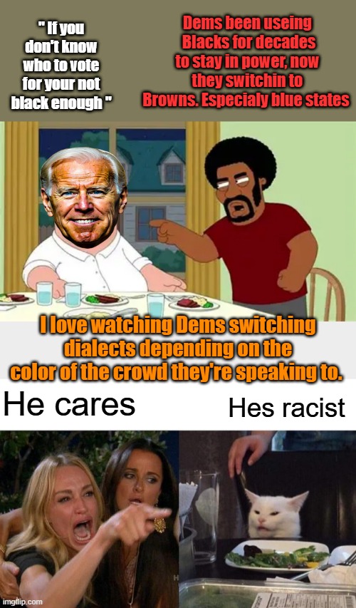 Legal immigrants should take notice of that. You will be used & abused by dems. Study from LBJ to now look at the DEM record | " If you don't know who to vote for your not black enough "; Dems been useing  Blacks for decades to stay in power, now they switchin to Browns. Especialy blue states; I love watching Dems switching dialects depending on the color of the crowd they're speaking to. He cares; Hes racist | image tagged in memes,woman yelling at cat | made w/ Imgflip meme maker