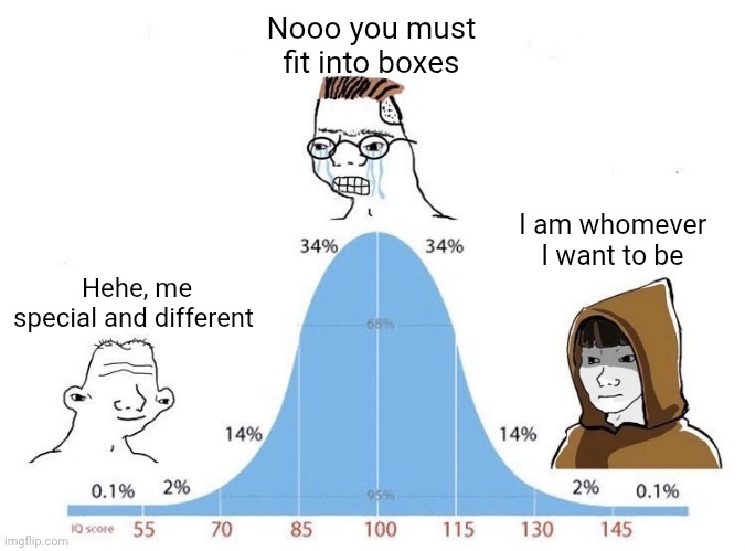 Be yourself | Nooo you must fit into boxes; I am whomever I want to be; Hehe, me special and different | image tagged in bell curve | made w/ Imgflip meme maker