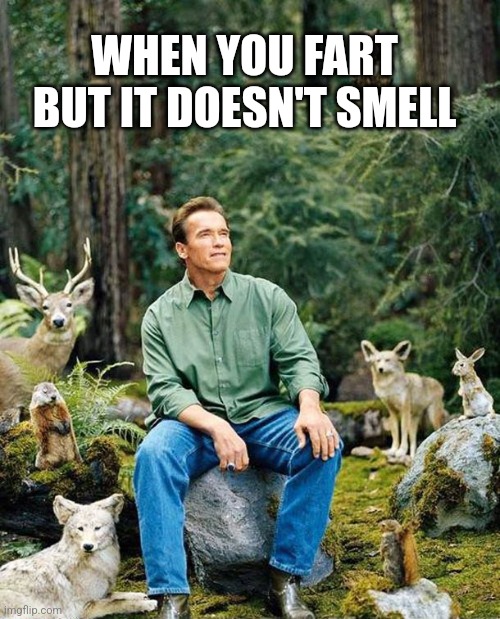 Arnold nature | WHEN YOU FART BUT IT DOESN'T SMELL | image tagged in arnold nature | made w/ Imgflip meme maker