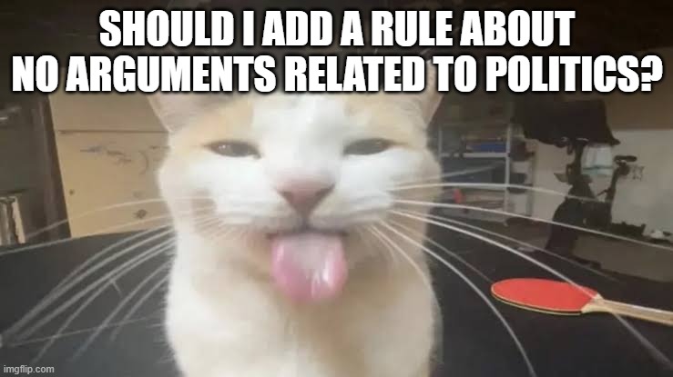 Milly the silly cat Bleh Cat | SHOULD I ADD A RULE ABOUT NO ARGUMENTS RELATED TO POLITICS? | image tagged in milly the silly cat bleh cat,sans of topic | made w/ Imgflip meme maker