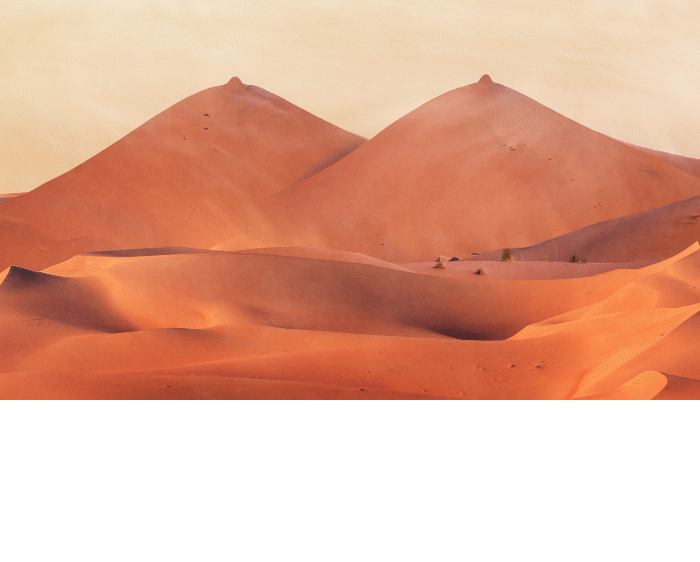 High Quality Send Dunes Blank Meme Template