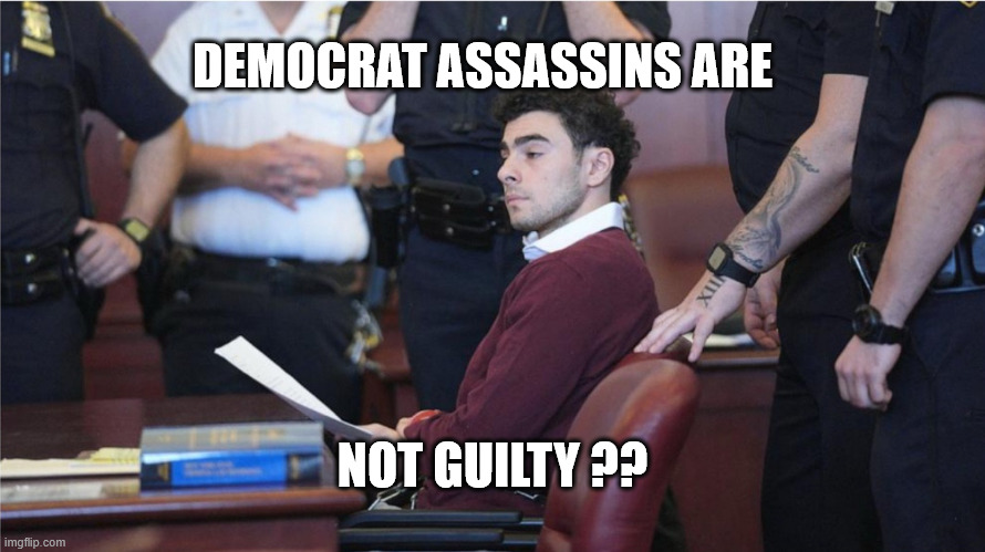 Luigi Mangione is Not Guilty ??? | DEMOCRAT ASSASSINS ARE; NOT GUILTY ?? | image tagged in luigi mangione in court | made w/ Imgflip meme maker