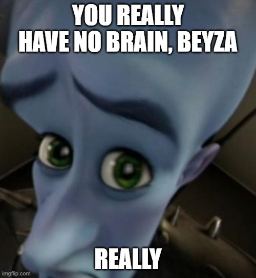 Megamind no bitches | YOU REALLY HAVE NO BRAIN, BEYZA; REALLY | image tagged in megamind no bitches | made w/ Imgflip meme maker