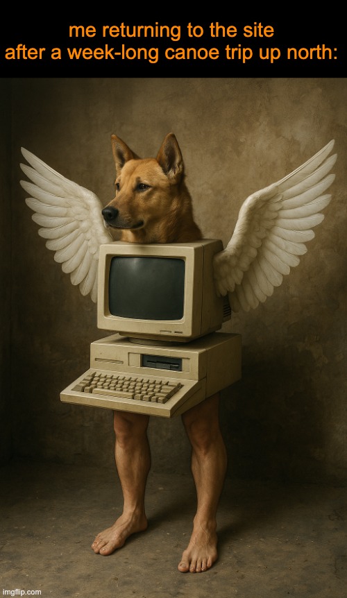 . | me returning to the site after a week-long canoe trip up north: | image tagged in oca monitor canina | made w/ Imgflip meme maker