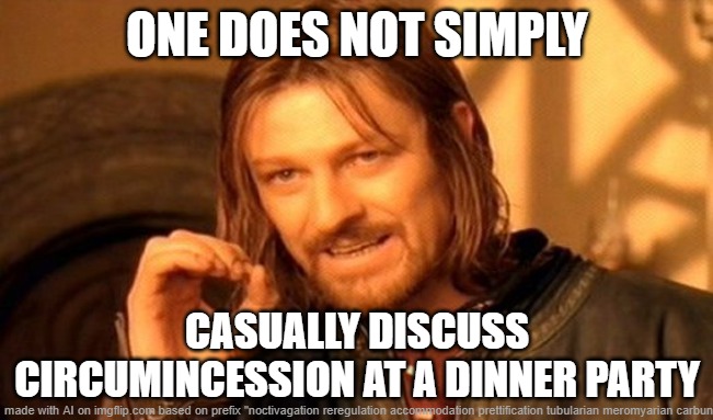 1 of 3 | ONE DOES NOT SIMPLY; CASUALLY DISCUSS CIRCUMINCESSION AT A DINNER PARTY | image tagged in memes,one does not simply,few tags | made w/ Imgflip meme maker