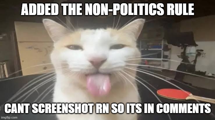 tell me if u have any suggestion | ADDED THE NON-POLITICS RULE; CANT SCREENSHOT RN SO ITS IN COMMENTS | image tagged in milly the silly cat bleh cat,le freaky sans de topique | made w/ Imgflip meme maker