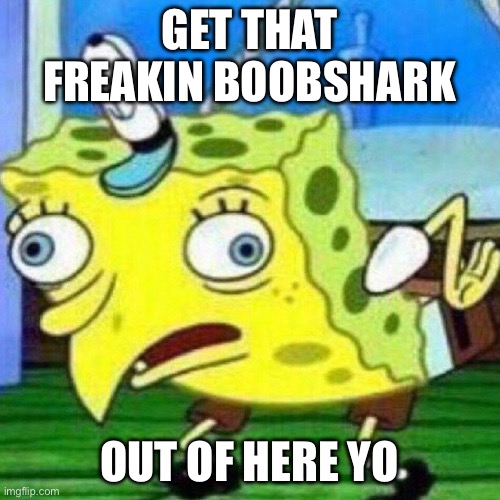 GET THAT FREAKIN BOOBSHARK OUT OF HERE YO | image tagged in triggerpaul | made w/ Imgflip meme maker