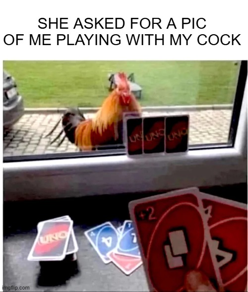 Play With It | SHE ASKED FOR A PIC OF ME PLAYING WITH MY COCK | image tagged in sex jokes | made w/ Imgflip meme maker