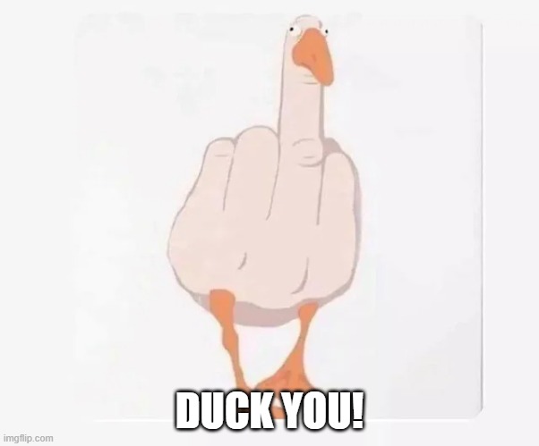 Duck You | DUCK YOU! | image tagged in ducks | made w/ Imgflip meme maker