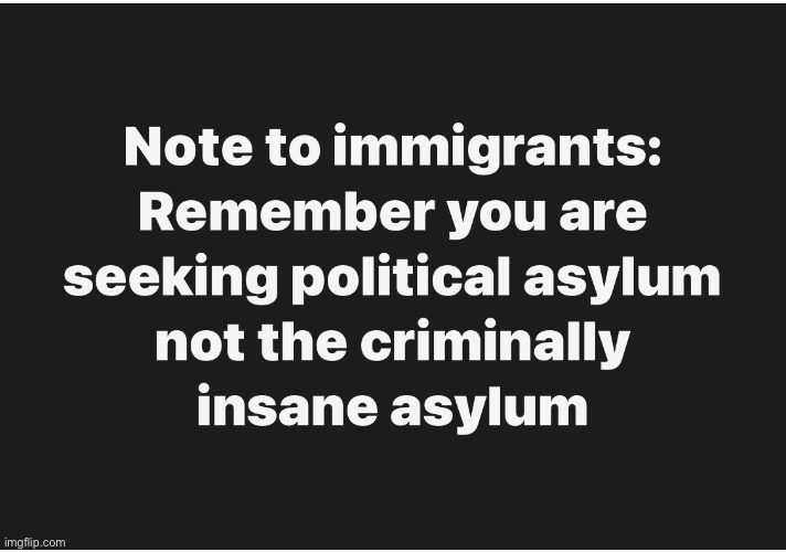 It’s A Riot | image tagged in riots,illegal aliens,ice,asylum | made w/ Imgflip meme maker