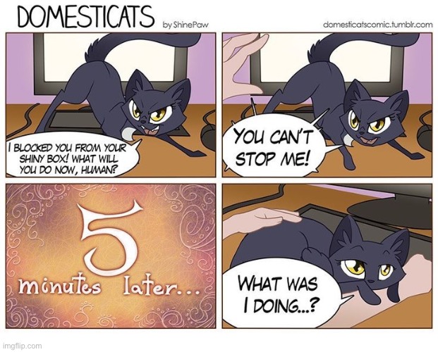 Foiled again!… | image tagged in cats,domesticats,petting | made w/ Imgflip meme maker