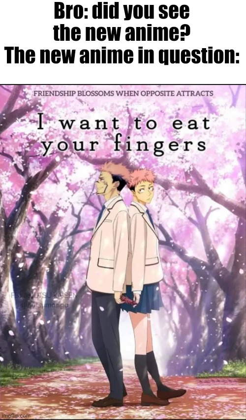 Practical | Bro: did you see the new anime?
The new anime in question: | image tagged in anime | made w/ Imgflip meme maker