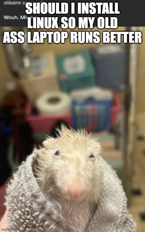 SHOULD I INSTALL LINUX SO MY OLD ASS LAPTOP RUNS BETTER | made w/ Imgflip meme maker