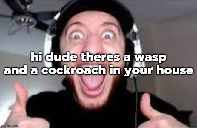 awesome | hi dude theres a wasp and a cockroach in your house | made w/ Imgflip meme maker