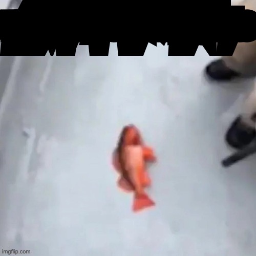 Jimmy here fish | I force fed you highly enriched uranium while you were sleeping teehee | image tagged in jimmy here fish | made w/ Imgflip meme maker
