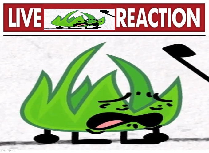 Live Grassy be like | image tagged in bfdi,fun | made w/ Imgflip meme maker