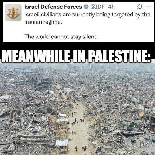 Pure hypocrisy | MEANWHILE IN PALESTINE: | image tagged in zionist hypocrites | made w/ Imgflip meme maker