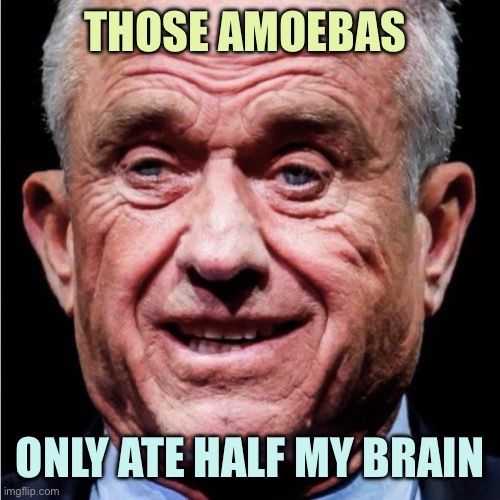 THOSE AMOEBAS ONLY ATE HALF MY BRAIN | image tagged in rfk jr | made w/ Imgflip meme maker