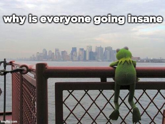 pensive reflecting thoughtful kermit on bridge | why is everyone going insane | image tagged in pensive reflecting thoughtful kermit on bridge | made w/ Imgflip meme maker