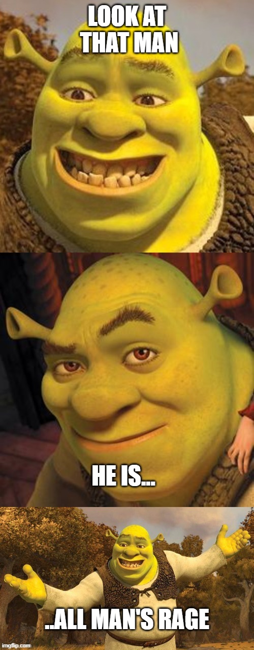 LOOK AT
 THAT MAN HE IS... ..ALL MAN'S RAGE | image tagged in bad pun shrek | made w/ Imgflip meme maker