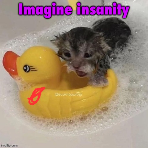 Watr | Imagine insanity | image tagged in watr | made w/ Imgflip meme maker